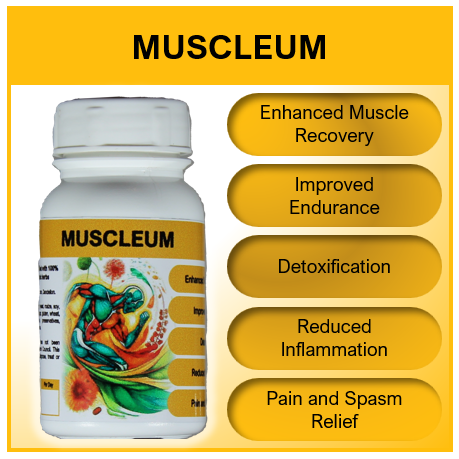 PB-SP4 MUSCLEUM